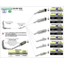 Escape completo Race-Tech no homologado en carbono para KAWASAKI ZX-6R / 636 09-16