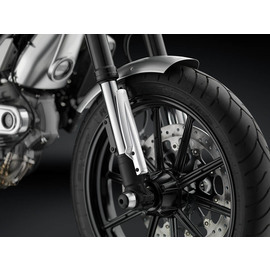 Protector de horquilla Rizoma ZDM134 para Ducati Scrambler 14>
